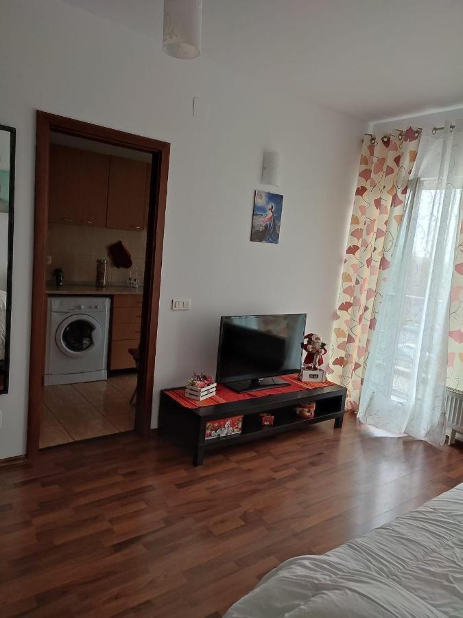 1 Room Apartment In Titan Bükreş Dış mekan fotoğraf